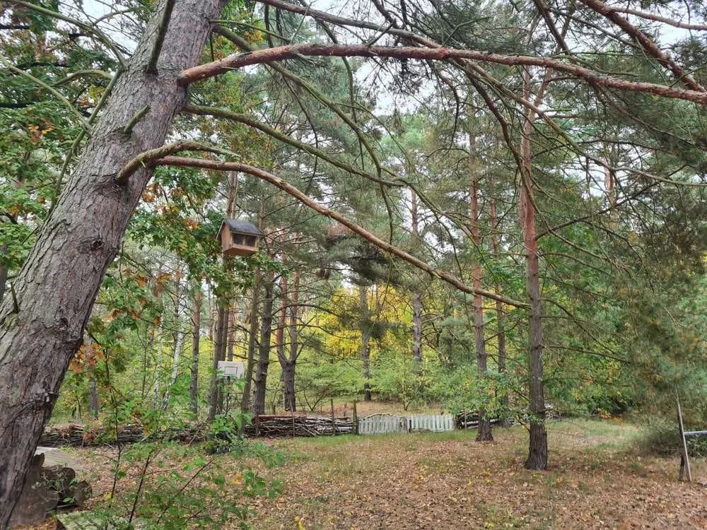 Waldgrundstück mit Haus nahe der Havel — photo 1