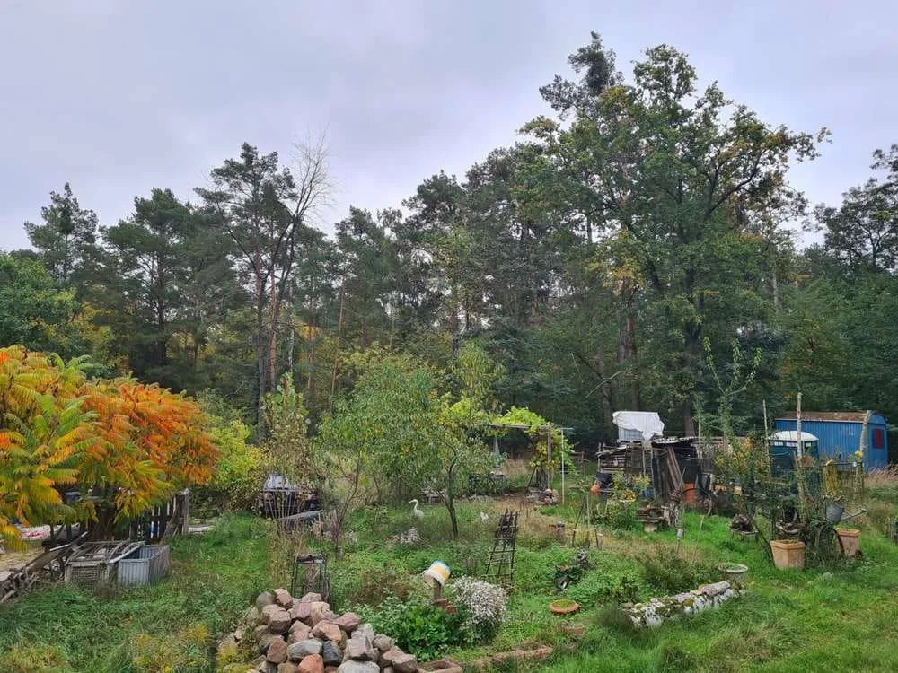 Waldgrundstück mit Haus nahe der Havel — photo 2