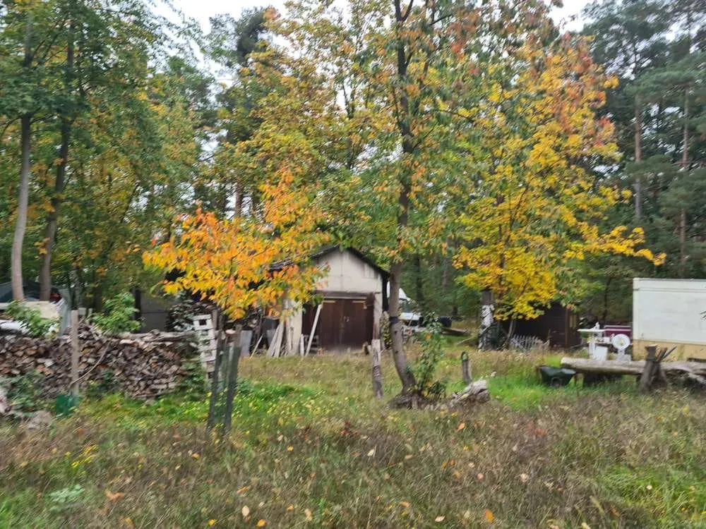 Waldgrundstück mit Haus nahe der Havel — photo 3