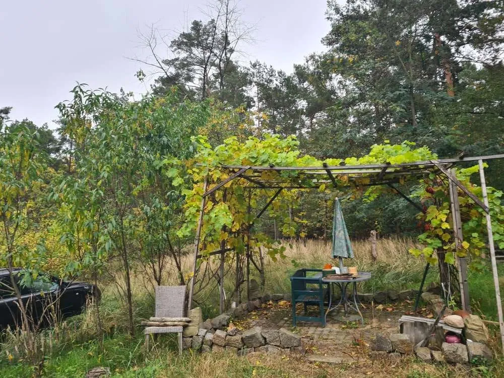 Waldgrundstück mit Haus nahe der Havel — photo 4